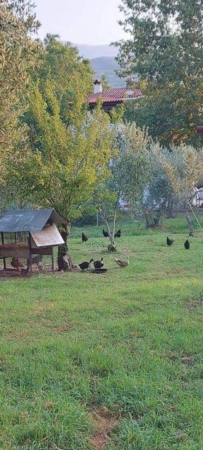 Diamond Farm Villa Kala Nera Luaran gambar