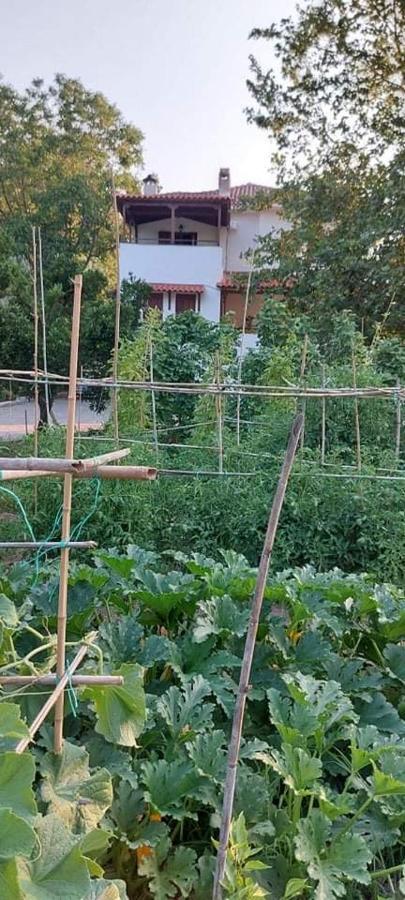 Diamond Farm Villa Kala Nera Luaran gambar