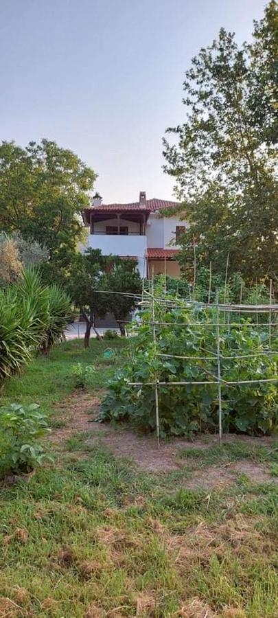 Diamond Farm Villa Kala Nera Luaran gambar